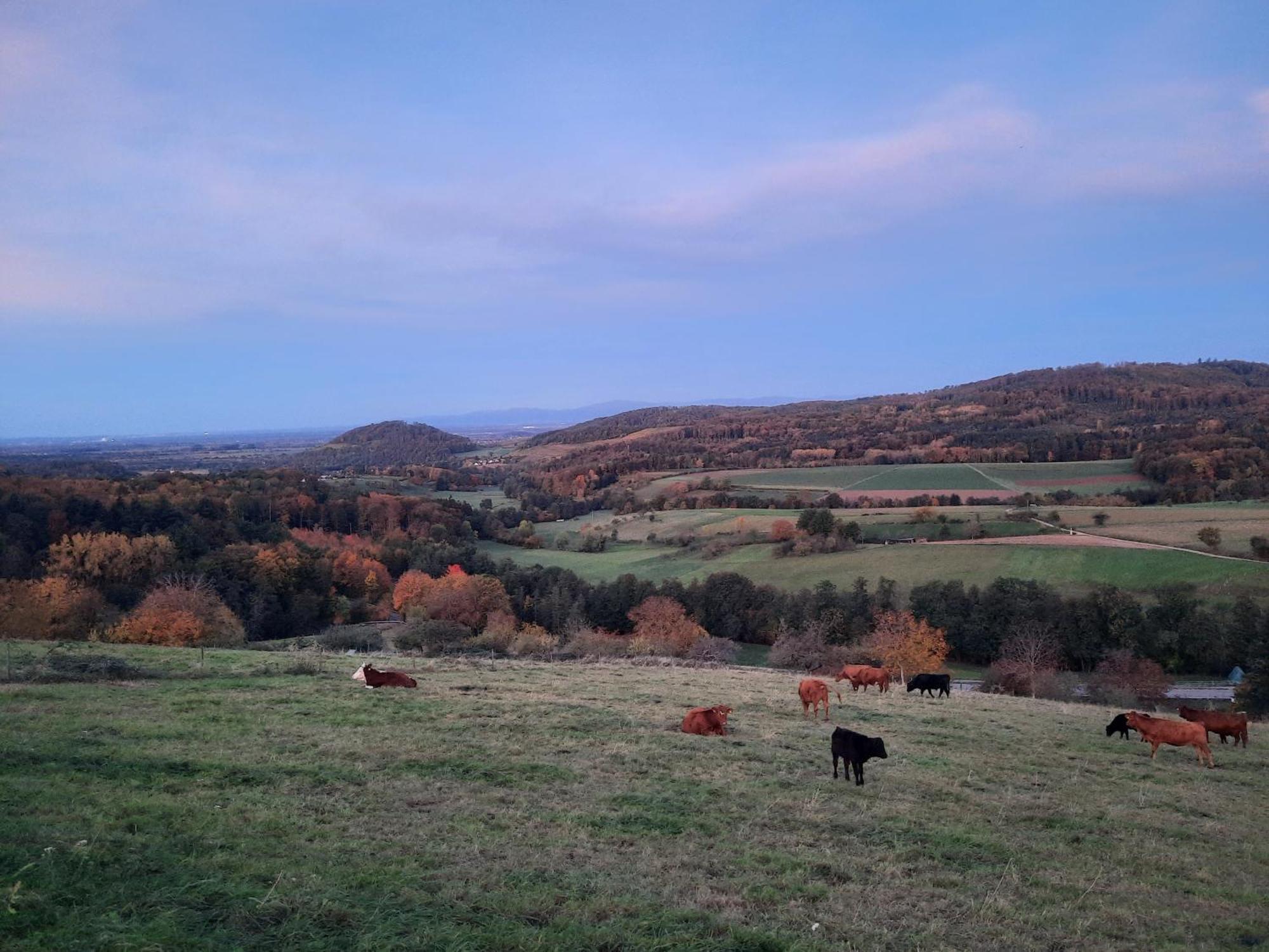 Fernblick Appartement